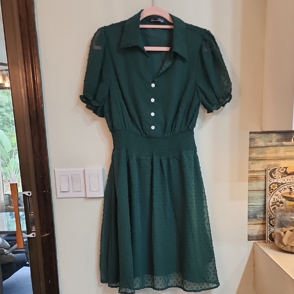 Swiss Dot Green Dress - Picture 1 of 6